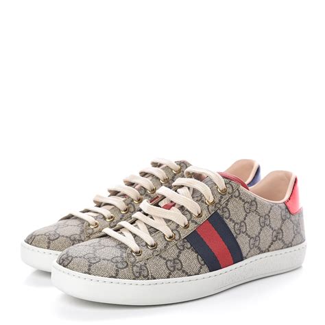 Women's Ace GG Supreme sneaker in GG Supreme 